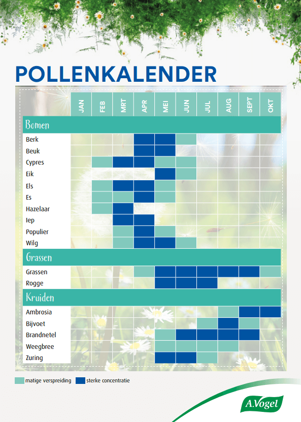 Pollenkalender | Hooikoorts