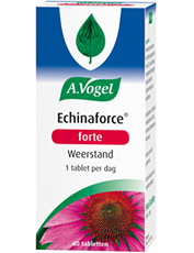 Echinaforce forte. Versterkt het imuunsysteem bij onvoldoende weerstand en versnelt het herstel na ziekte