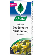 Solidago, ondersteunt een goede vochthuishouding, Stimuleert de nieren