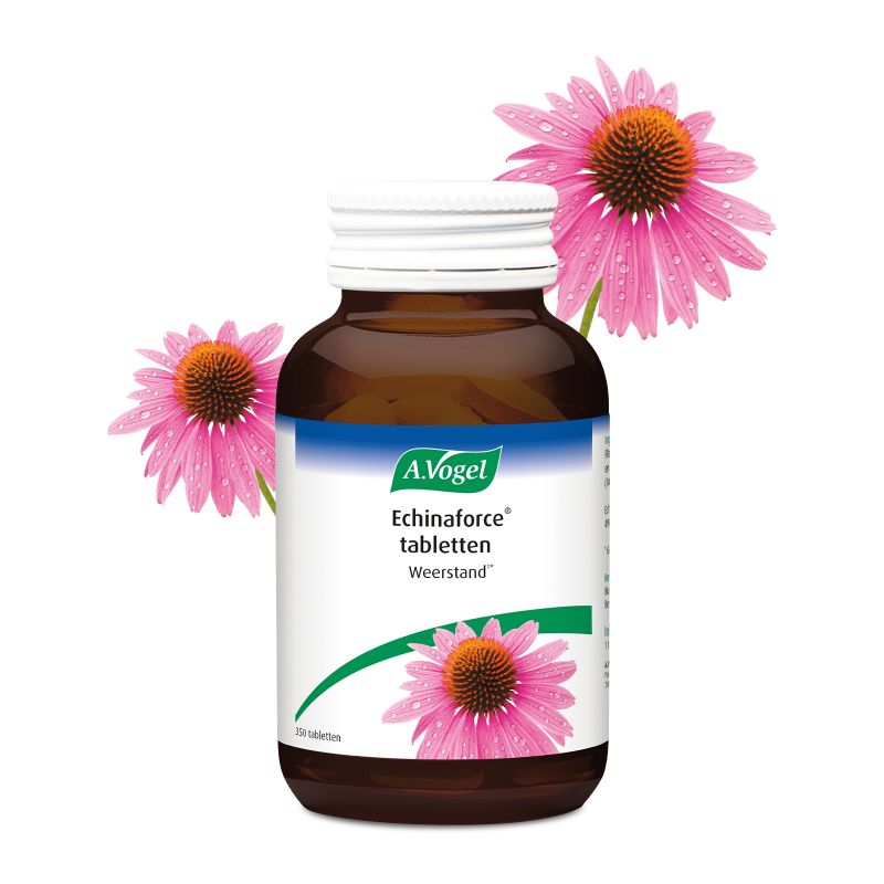 Uit verpakking Echinaforce tabletten voorkant