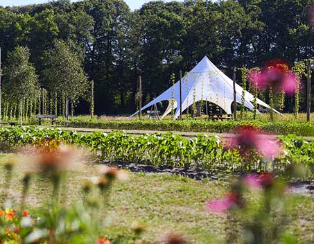 tent in tuinen