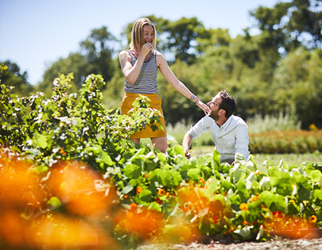 Man en vrouw in de proeftuin van A.Vogel