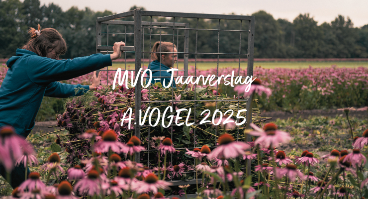 MVO jaarverslag 2025