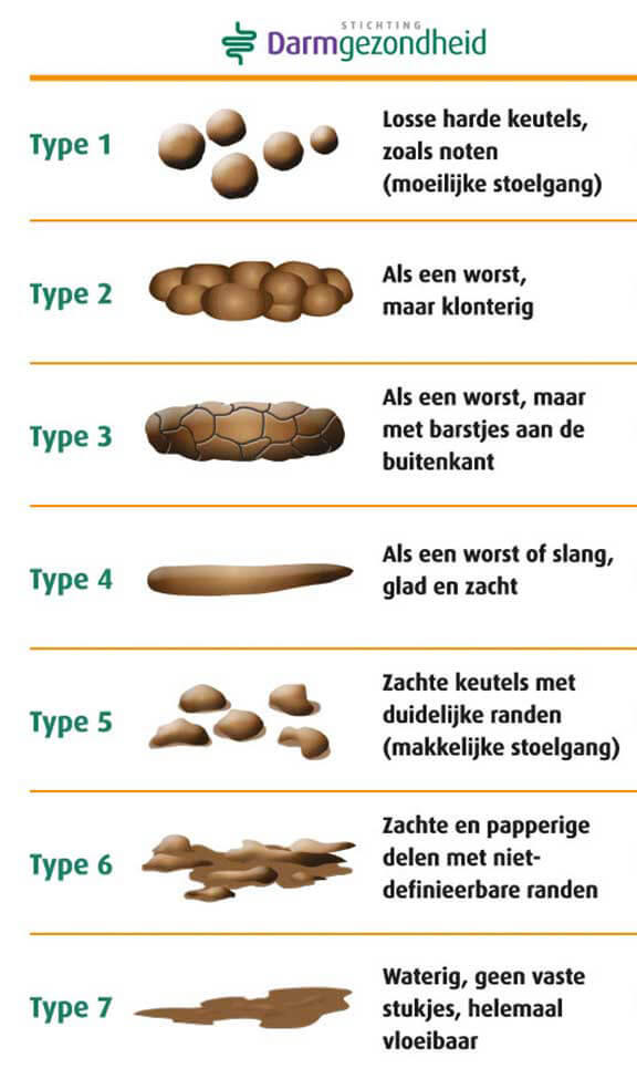 Wederzijds passagier reflecteren Check je poep! Hoe gezond is jouw ontlasting? A.Vogel Blog