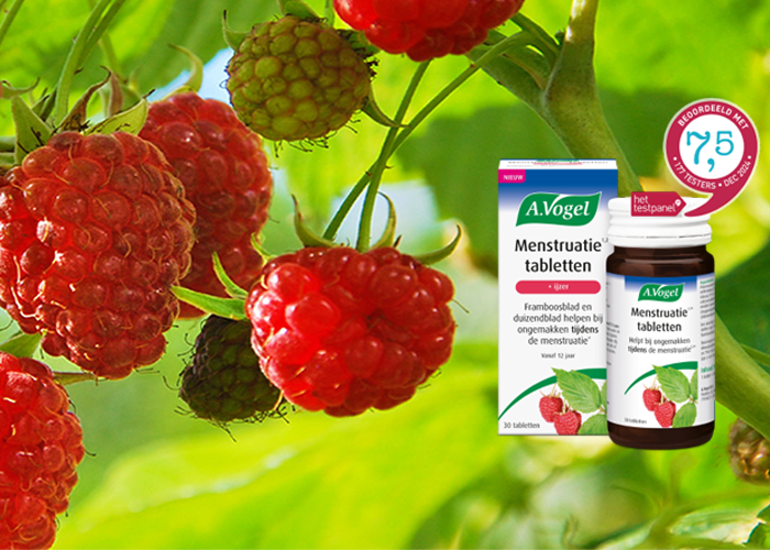 Vrouwen beoordelen Menstruatie tabletten met een 7,5