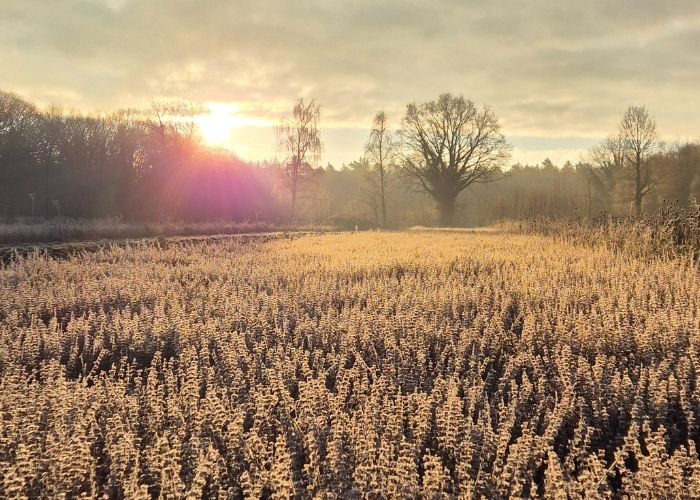 5 tips om Blue Monday de baas te zijn