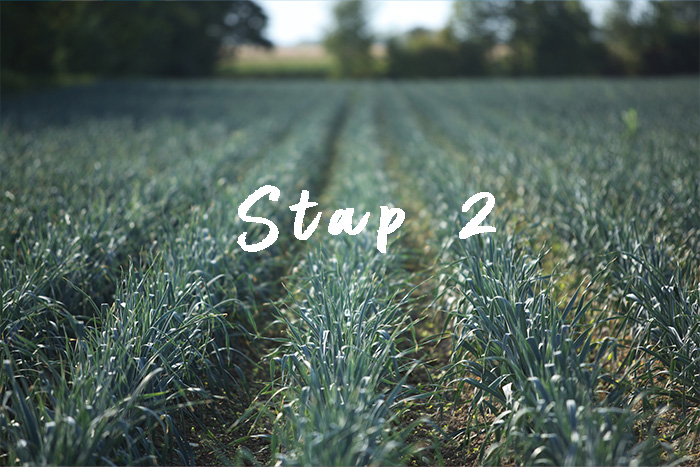 Stap 2 – Verse biologische kruiden en groenten | A.Vogel