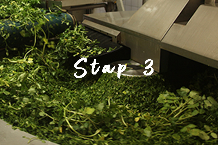 Stap 3 – Mengen en rijpen | A.Vogel