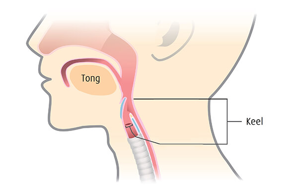 Vastzittend Slijm In Keel Met Hoest Tips En Advies A Vogel