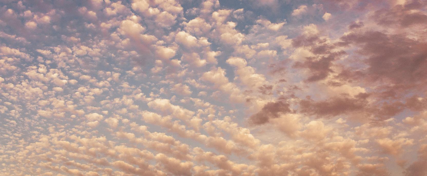 Dromen & Nachtmerries Dromen & Nachtmerries