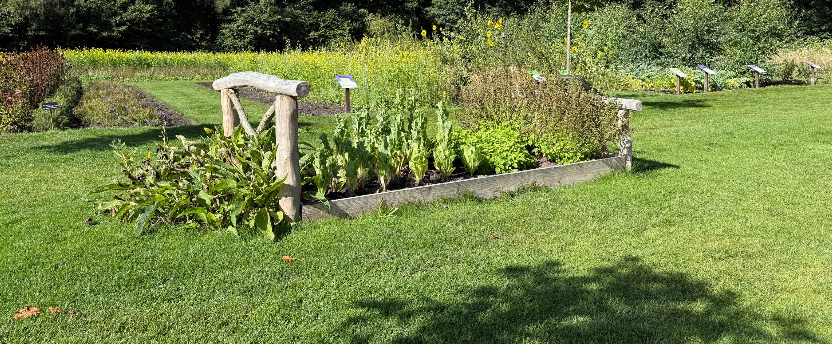 De basis van slaap De basis van slaap