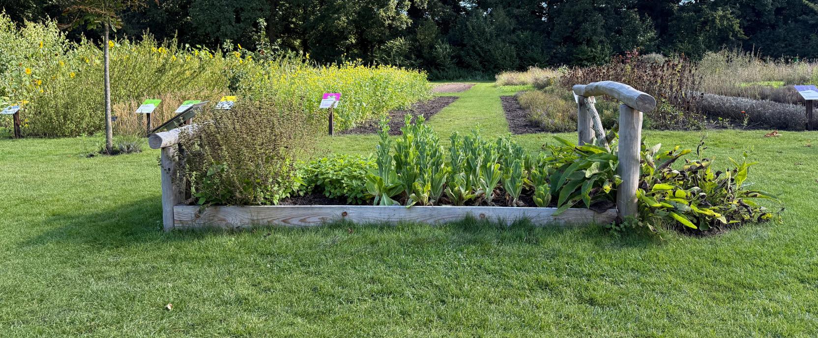 Slaapverstoorders Slaapverstoorders