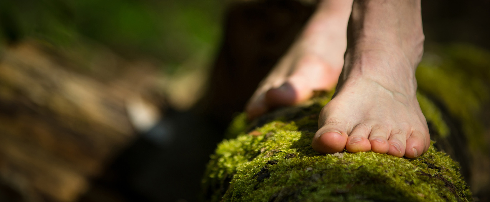 De ideale slaapduur De ideale slaapduur