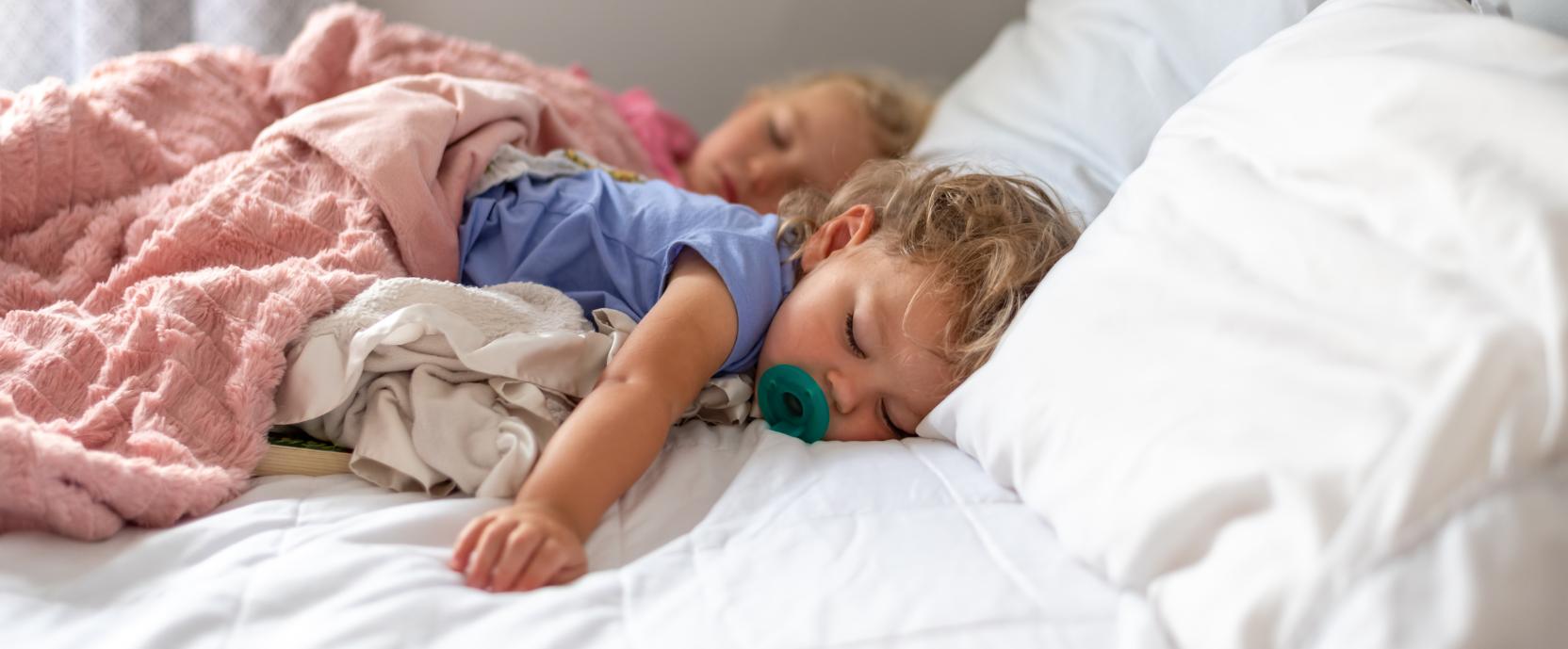 Levensfasen Levensfasen