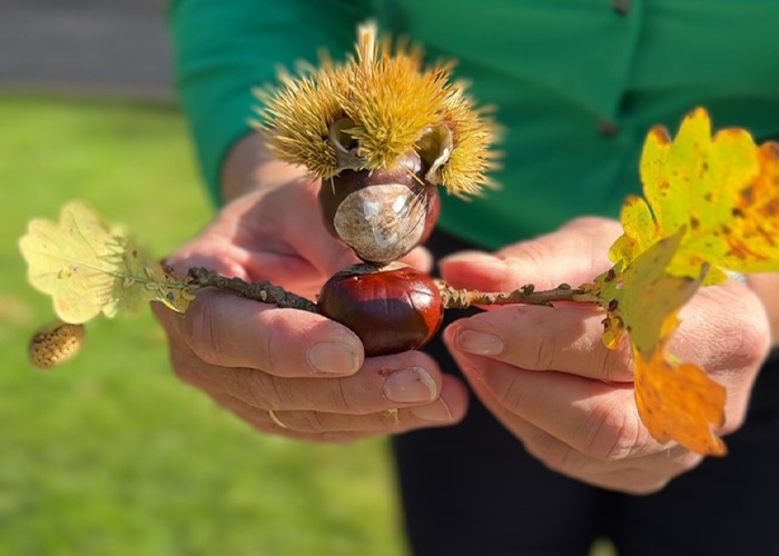 Herfstcreatie | A.Vogel