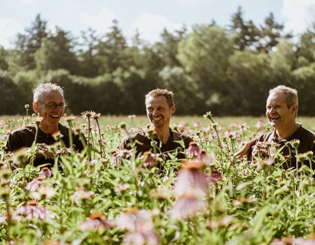 Tuinmannen op een rij